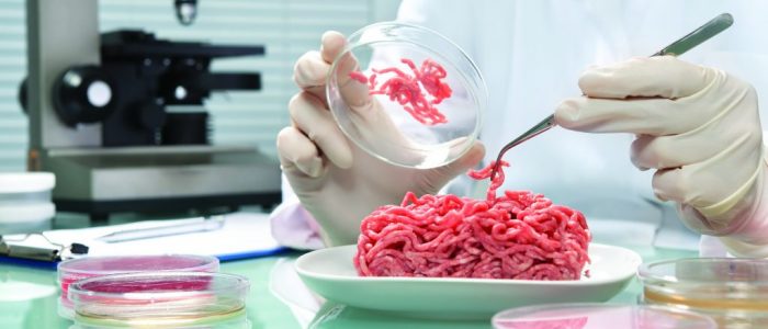 Artificial Meat, Lab-Grown Meat and the Future of Food